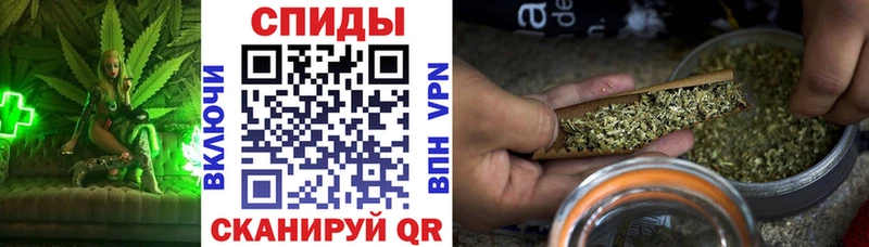 omg как войти  Валуйки  дарк нет формула  БУТИРАТ бутандиол 