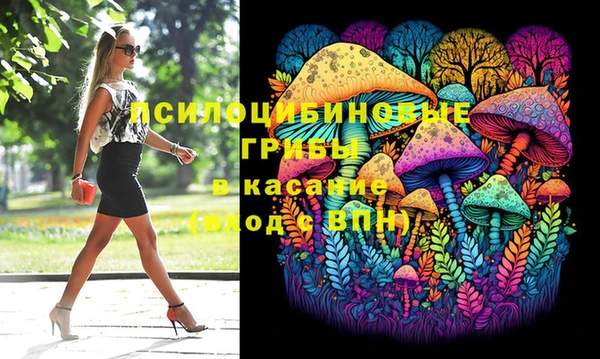 твердый Белокуриха