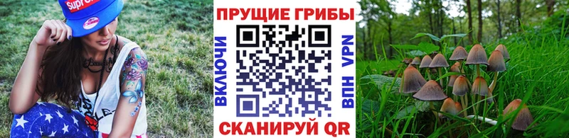 дарк нет какой сайт hydra tor Валуйки Галлюциногенные грибы прущие грибы